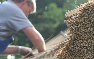 professional Voe thatchers