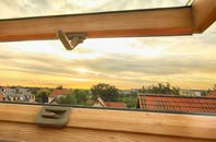 rated Voe roof window companies